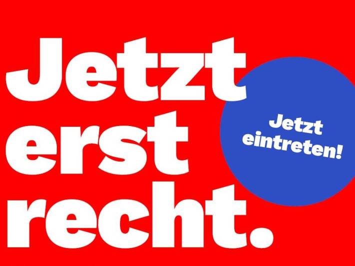 Das Bild ist ein Aufruf zur Mitgliedschaft bei der Linken.